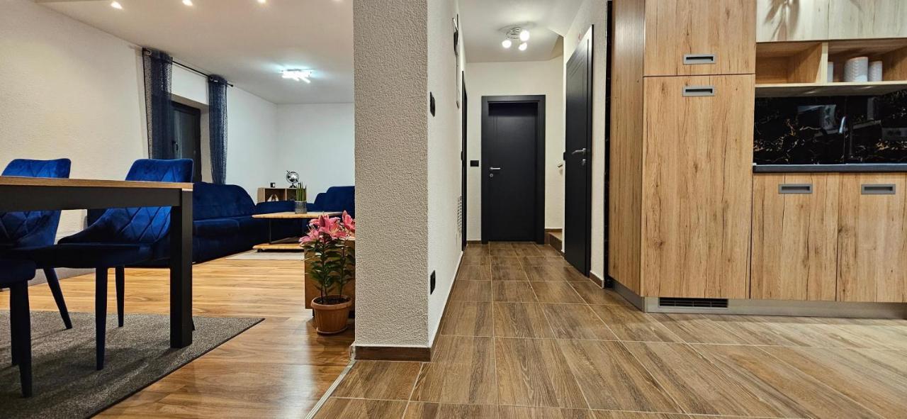 Betty Apartments Borik - Whole Ground Floor Rovigno Esterno foto