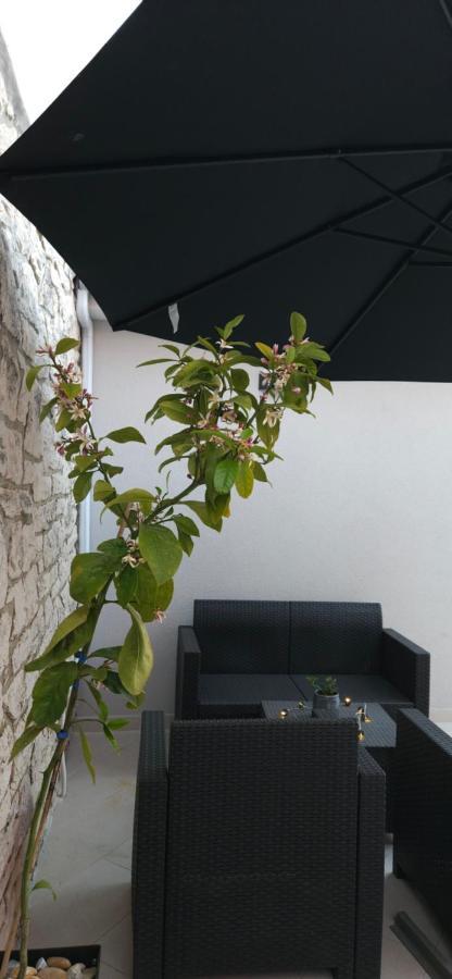 Betty Apartments Borik - Whole Ground Floor Rovigno Esterno foto
