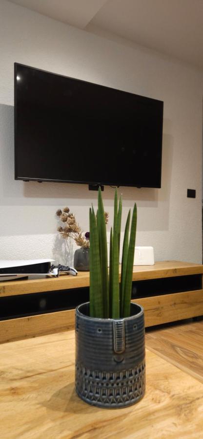 Betty Apartments Borik - Whole Ground Floor Rovigno Esterno foto